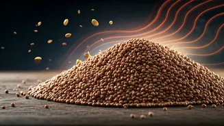 Fuel Workouts Naturally Using Calcium-Rich Sprouted Ragi Mixes Daily
