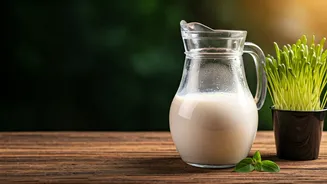 Camel Milk: The Plant-Based Superfood Revolutionizing Nutrition and Sustainability