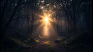 A Brighter Day Can Make Evening Darkness More Meaningful