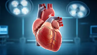 5 Habits Harming Your Heart (And How to Fix It)