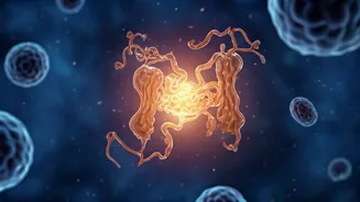 Related Stories banner