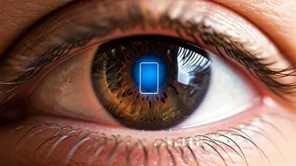 Related Stories banner