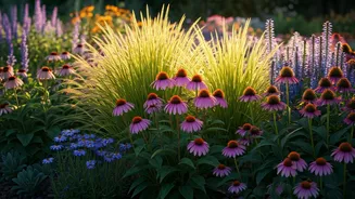 Native Plants Thrive With Less Effort