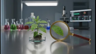 A New Leafy Plant Deserves The Same Safety Check As A New Food