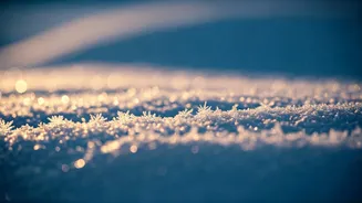 Is It Safe to Eat Snow? Unveiling the Risks