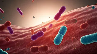 Healthy Indian Breakfasts: A Gut-Friendly Guide