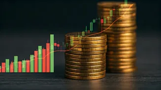 Navigating the Stock Market: Your Guide