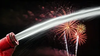 Diwali Celebrations in the US: A Recap