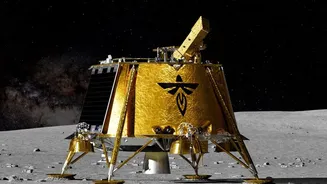 Lunar South-Pole Missions May Carry an Invisible Biological Footprint