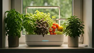 Home Growers Are Thinking Beyond Pretty Pots