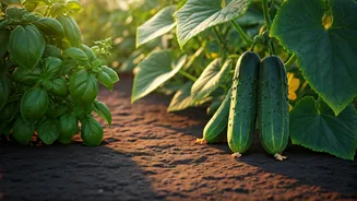 Cucumber And Basil Are Low-Drama June Picks