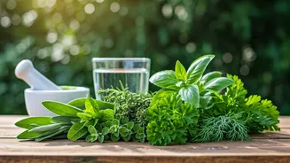Boost Gut Health with These 8 Natural Herbs
