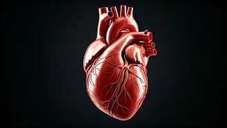 Your Weekly Zodiac Guide: November 17-23