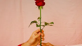 Rose, Bud, Thorn Turns Daily Sharing Into a Simple Family Ritual