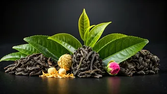 Green Tea Limits? Discover Alternative Teas!