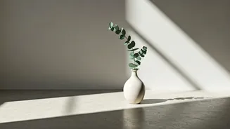 Minimalist Trends Continue To Dominate