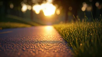 Evening Walks Could Count As Serious Routine