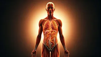 Related Stories banner