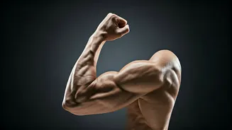 Related Stories banner