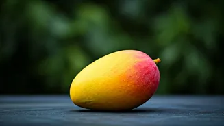 Sadabahar Mango: The Three-Season Wonder From Rajasthan's Own Mango Master