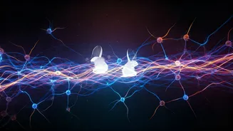 Related Stories banner