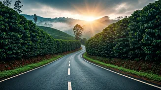 Why Travel Clubs Are Flocking To Mist Shrouded Chikmagalur