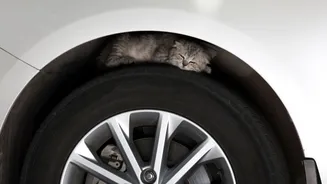 O gesto de 3 segundos que todo motorista deve fazer antes de ligar o carro no frio