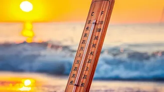 Copernicus Links Record Ocean Warmth To El Nino And Long-Term Heating