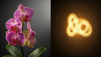 Zendaya's Relationship Wisdom: Loving Without Losing Your True Self