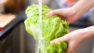 A Blade Can Be Sharp but Still Unsuitable for Safe Food Use