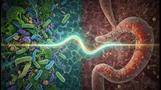 Why Focusing Only On Total Protein Intake Leads To Gut Issues Without Proper Fibre Balance