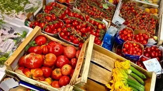 Healthy Workday Meals Begin With Seasonal Shopping At Your Neighbourhood Market