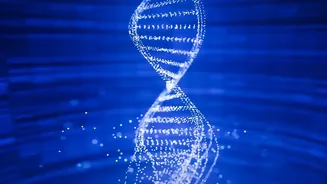 Diet can slow your biological age