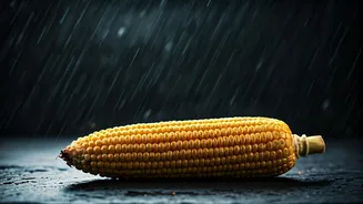Why Bhutta Tastes Better In The Rain