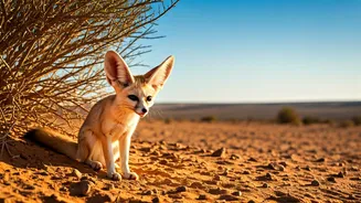 Nature's Survivors: 8 Amazing Animals That Beat the Summer Heat