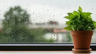 Simple Monsoon Rules That Everyone Should Know