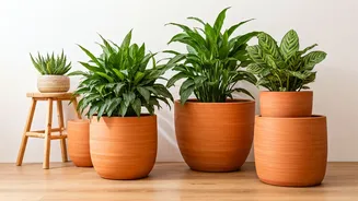 Urban Indian Youth Embrace Elegant Rustic Upgrades Via Handmade Terracotta