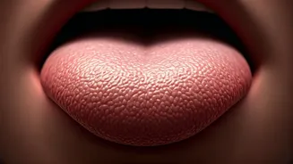 Related Stories banner