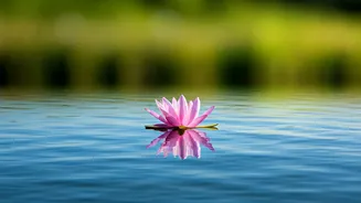 Respect Yourself First: Priyanka Chopra's Powerful Advice