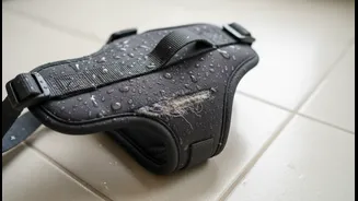How Leaving Damp Harnesses On Air-Drying Dogs Escalates Friction-Induced Bacterial Skin Lesions