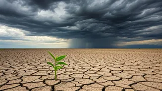 Rainfall Is India’s Most Underrated Budget Factor