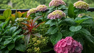 Rainy Days Are Perfect For These Balcony Green Companions