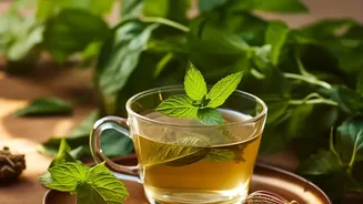 Cold Infusion Methods Extract Rich Antioxidants From Orthodox Teas Paired With Regional Tulsi