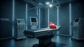 7 Free Google AI Tools: Your Digital Toolkit