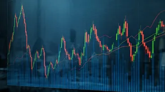 Flexi-Cap Funds: India's Investment Favorite