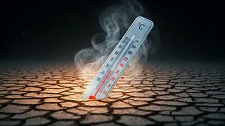 West Bengal Braces for Heat: Yellow Alerts Issued Amidst Rising Temperatures and Humidity