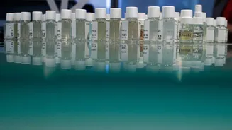 India Investigates Fragrance Giants Over Price Collusion, Document Shows
