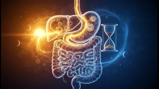 Eating Earlier Instead Of Later May Benefit Digestion, According To Emerging Research