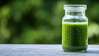 Clean Air, Clear Minds: A Positive Outlook