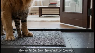 Monsoon Pet Care Begins Before The Front Door Opens